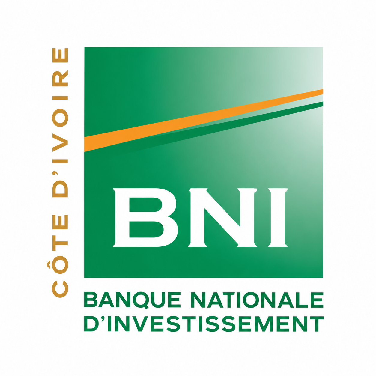 Logo Banque Nationale d’Investissement (BNI)